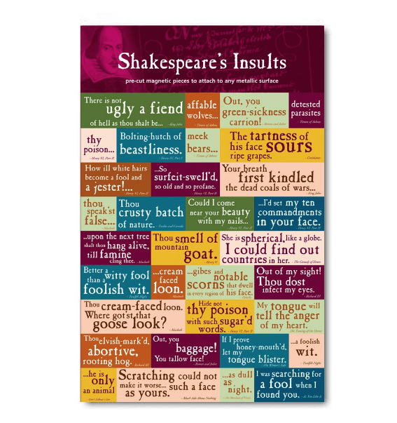 shakesperean insult magnet set
