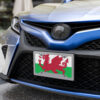 Welsh Dragon Flag - Flag of Wales Vanity license plate